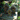 drie vogelhuisjes met bitumen dakje en verschillende afmetingen in tuin