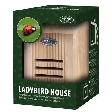 Lieveheersbeesthuisje in Giftbox