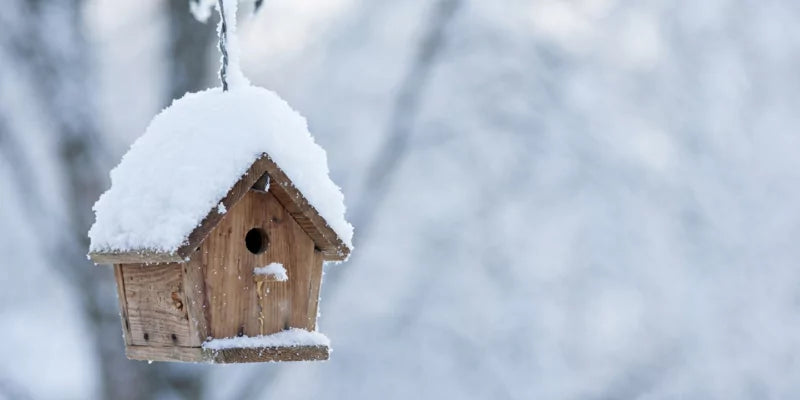Zo maak je je tuin winterklaar!