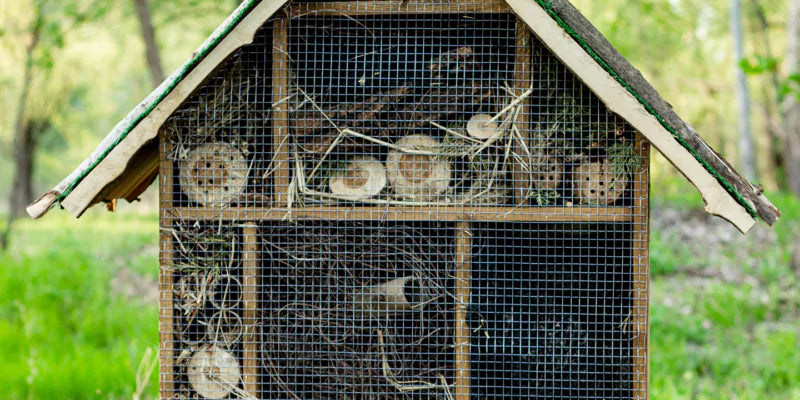 Welke soorten insecten trekt je insectenhotel aan?