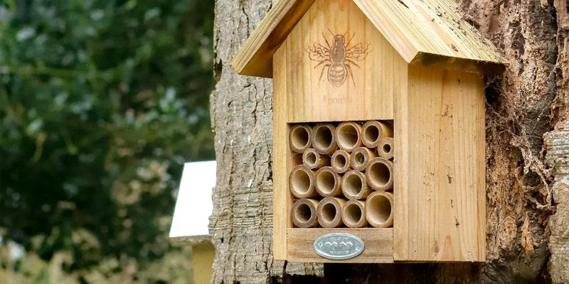 Educatie en plezier in de tuin met een vogelhuisje