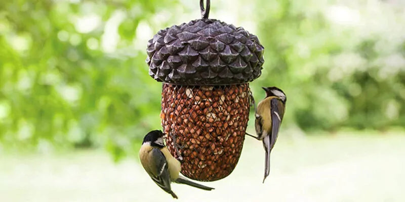 Kunnen vogels pinda’s eten?