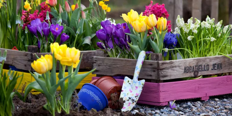 Maak je tuin klaar voor de lente