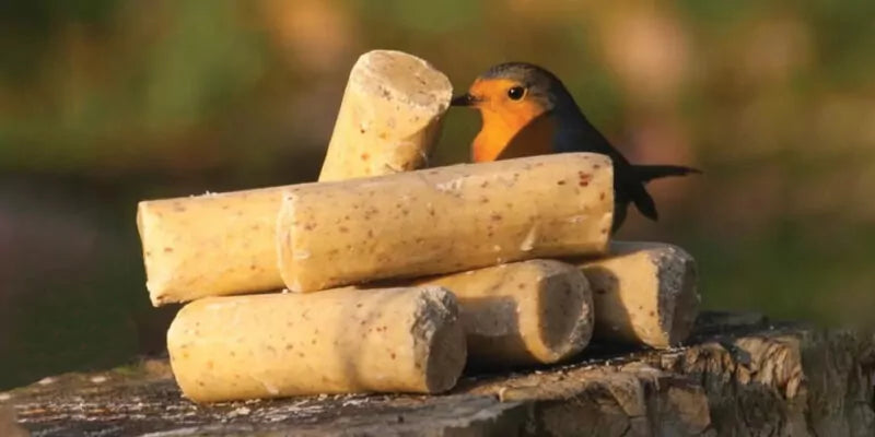 De beste vetproducten voor vogels