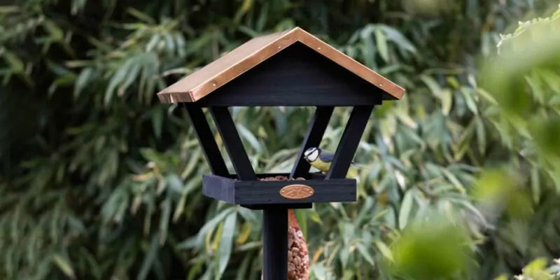 Voederhuisje in de tuin? Zo voorkom veelvoorkomende problemen