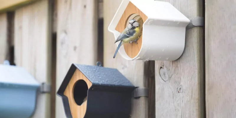 Zo creëer je een voederplek met meerdere voederhuizen
