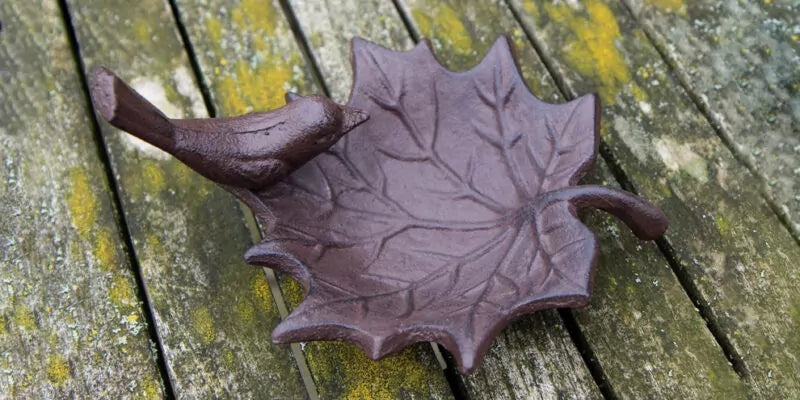 Waarom water in je tuin ook in het najaar belangrijk is