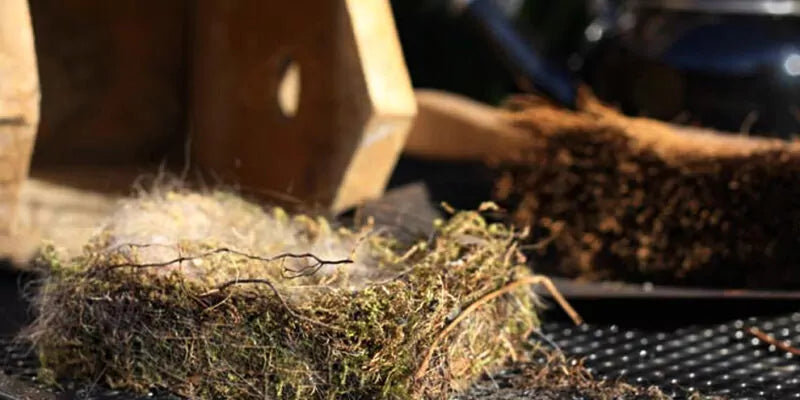 Houd je vogelhuisje ongediertevrij!