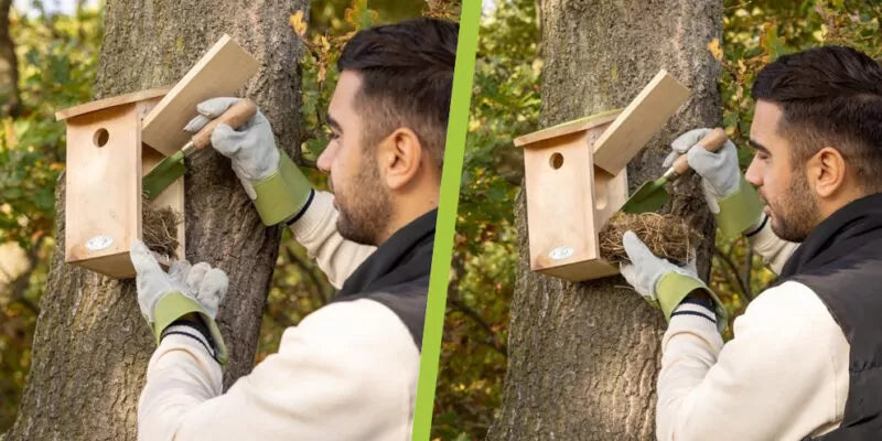 Tips voor het onderhouden en schoonmaken van je vogelhuisje