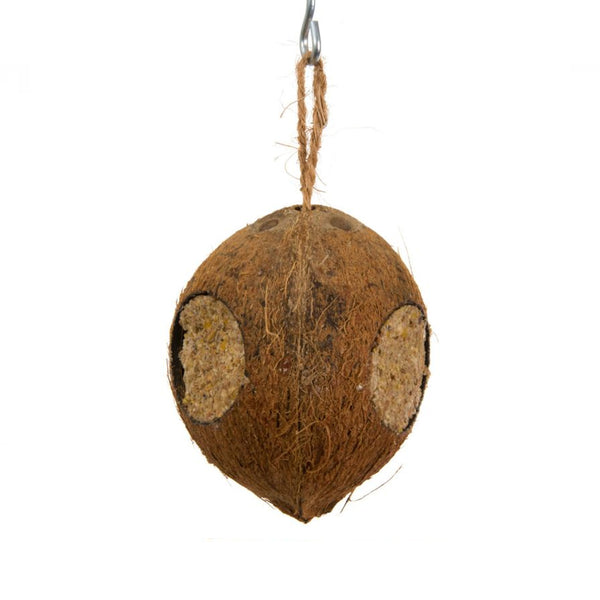 Gefüllte Kokosnuss - 3 Löcher