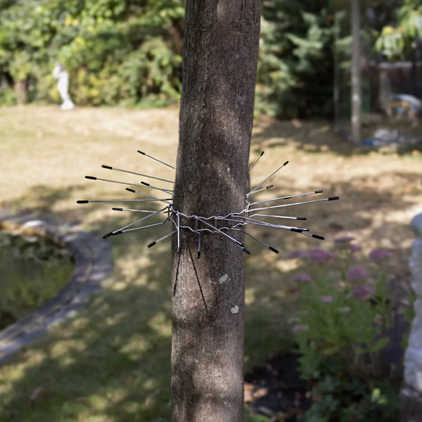 Katzenabwehrgürtel für Bäume