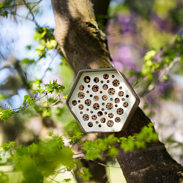 Bienenhotel Hive - Grün