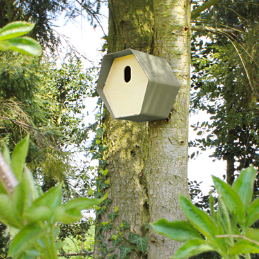 Hive Oval - Grün