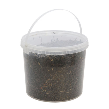 Schwarze Sonnenblumenkerne im Eimer - 2,2 kg