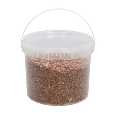 Rote Erdnüsse im Eimer - 2,5 kg