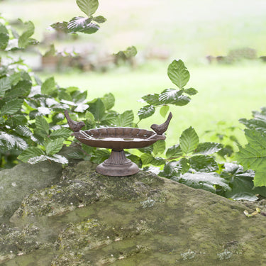 vogelbad-op-voet-laag-sfeer
