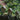 Vogelhuisje - Koper M sfeer
