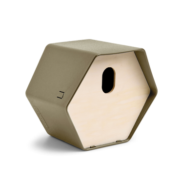 Hive Oval - Grün