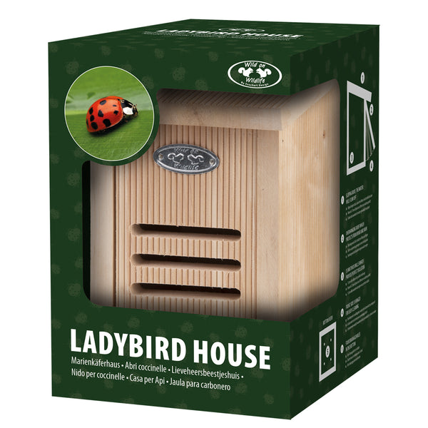 Lieveheersbeesthuisje in Giftbox