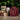 multiholk red earth en cadeautjes onder de boom